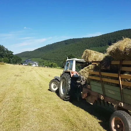 Bergfrieden 3* Schmallenberg