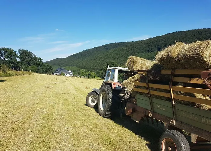 Bergfrieden 3* Schmallenberg