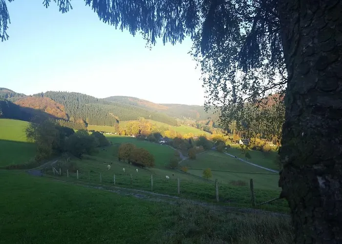 Bergfrieden Guest house Schmallenberg
