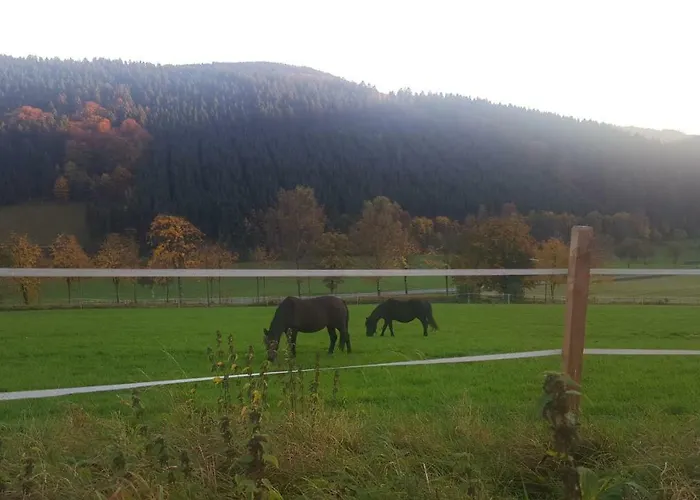 Guest house Bergfrieden