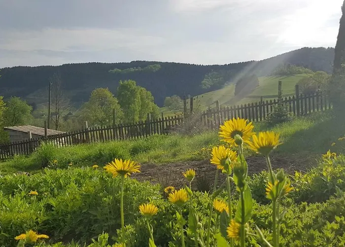 Guest house Bergfrieden 3*