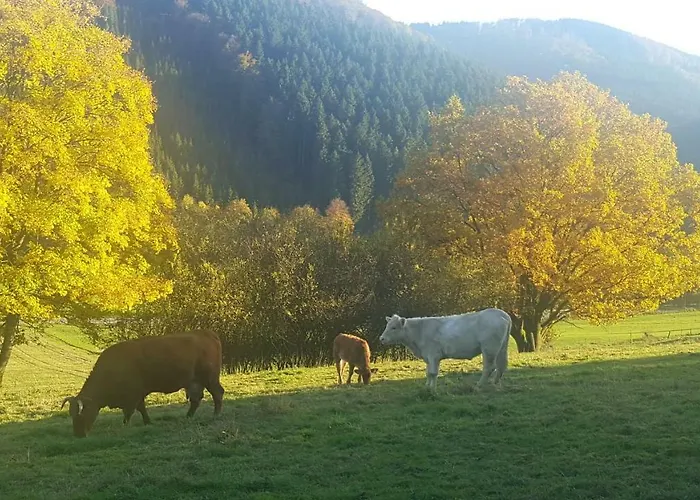 Guest house Bergfrieden 3*